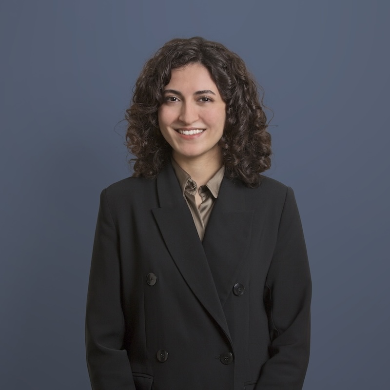 Erva Sungur